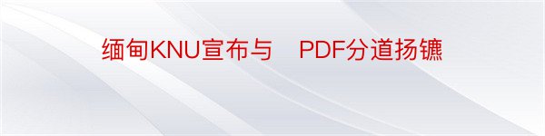 缅甸KNU宣布与​PDF分道扬镳
